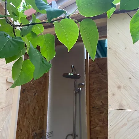 Bnomad Insolite * Moutier