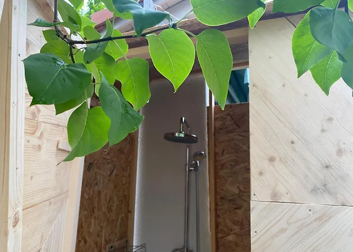 Bnomad Insolite * Moutier